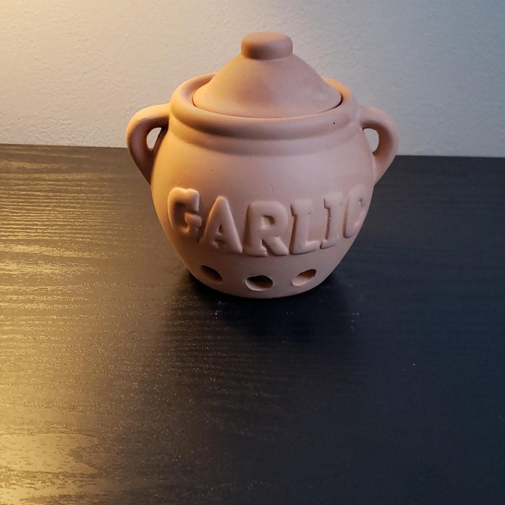 Terracotta Garlic Keeper